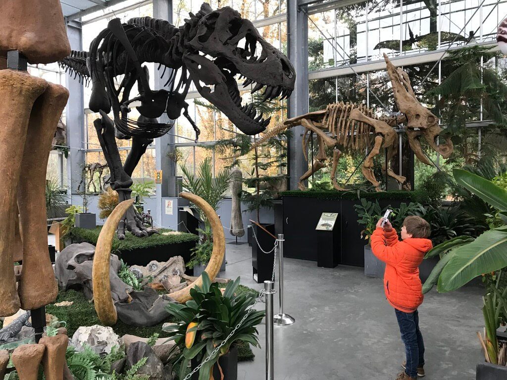 dinosaurus het oertijdmuseum