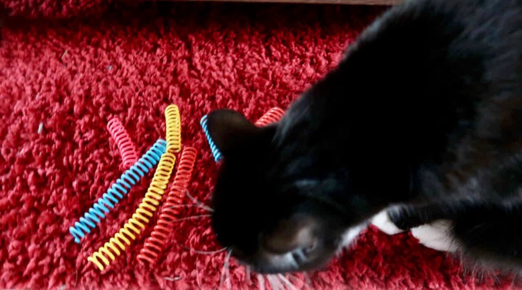 Dit snuffelpaaket van Kattenveertjes bestaat uit verschillende formaten springveertjes en kleuren. Voor elke kat is er een bij. 