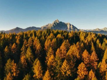 Bezoek Stubailtal in Oostenrijk in de herfst.