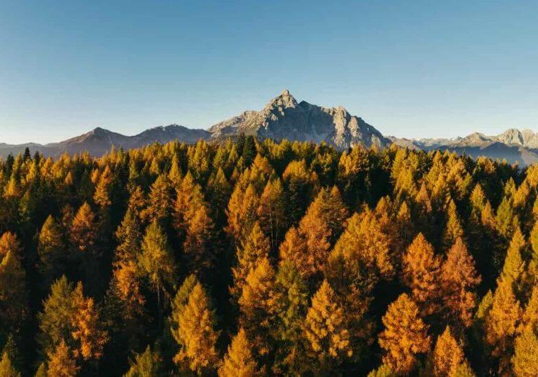 Bezoek Stubailtal in Oostenrijk in de herfst.